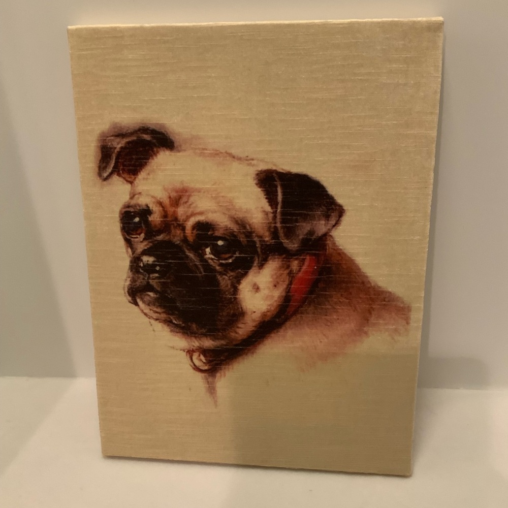 Sweet Pug - Picture 3 of 13